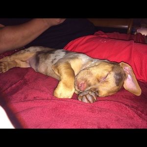 Meet your Posher, Terry